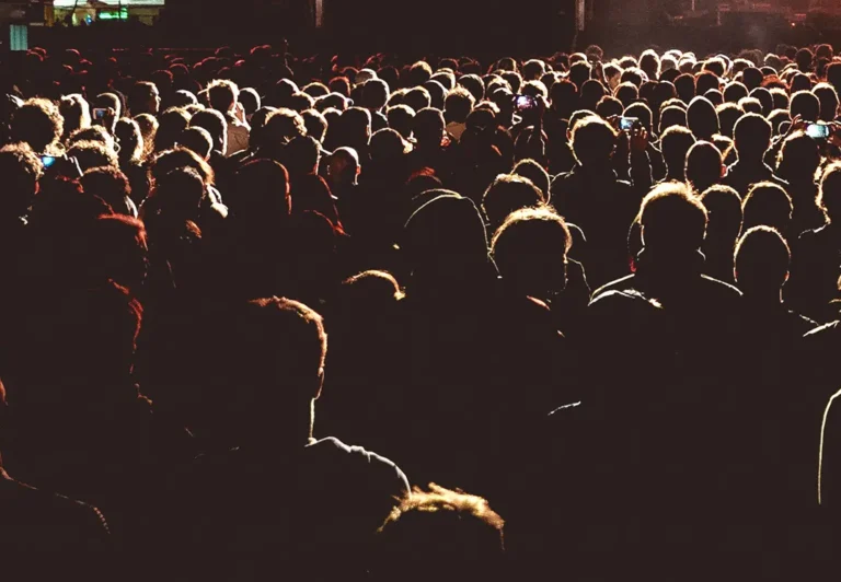 Audience insights